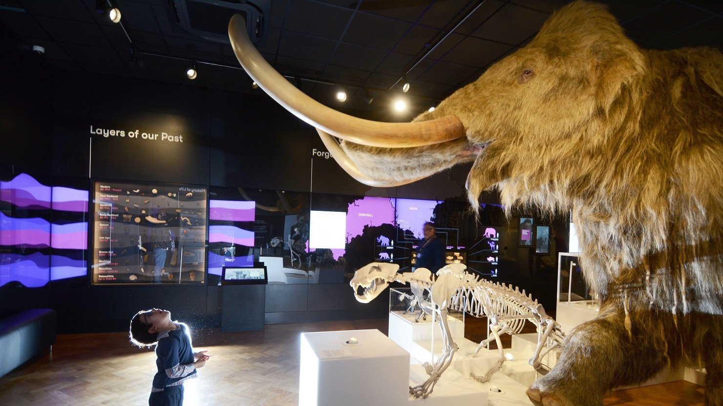 A little boy looking up at the woolly mammoth at The Box