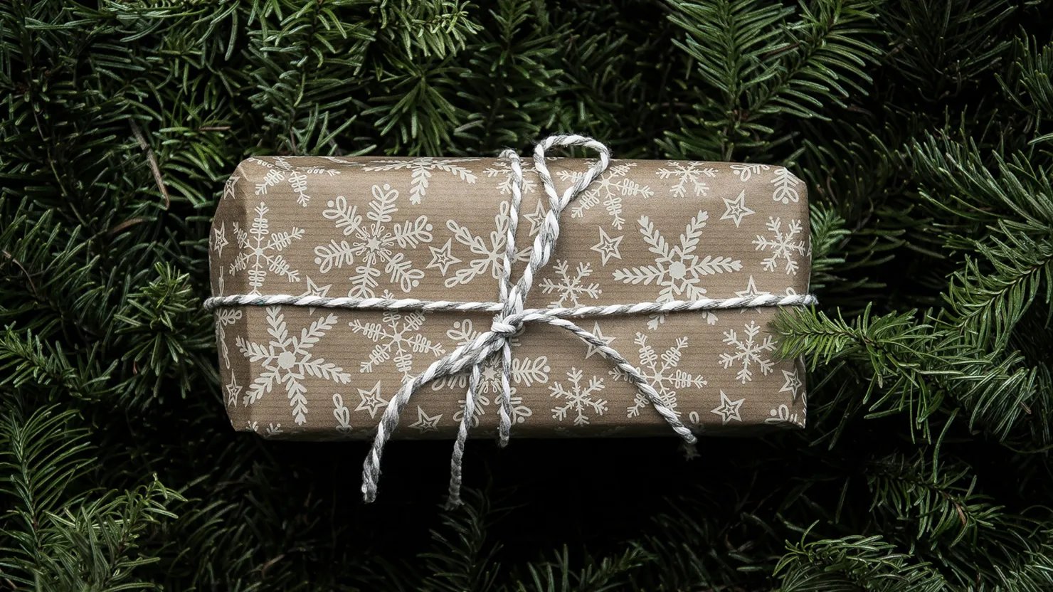 A festive present wrapped and placed on a Christmas tree branch