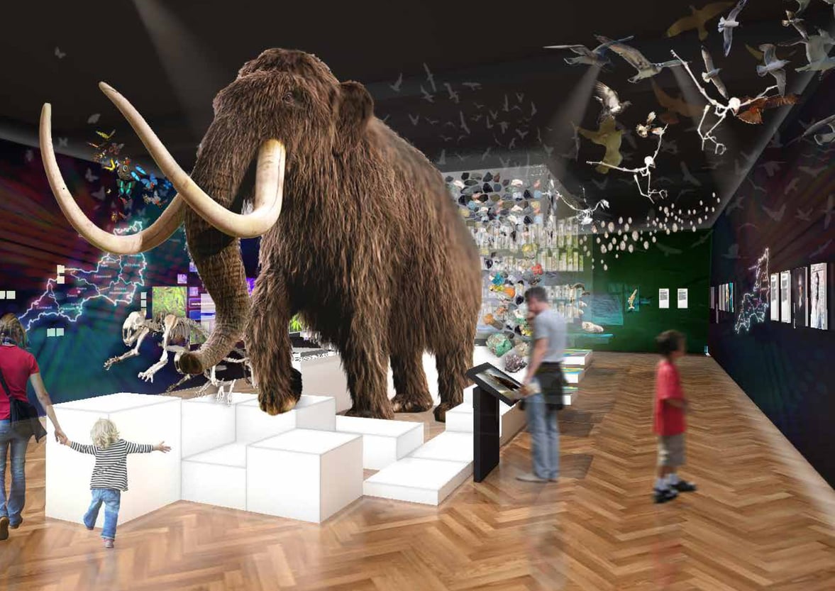 Mammoth Gallery June 2017