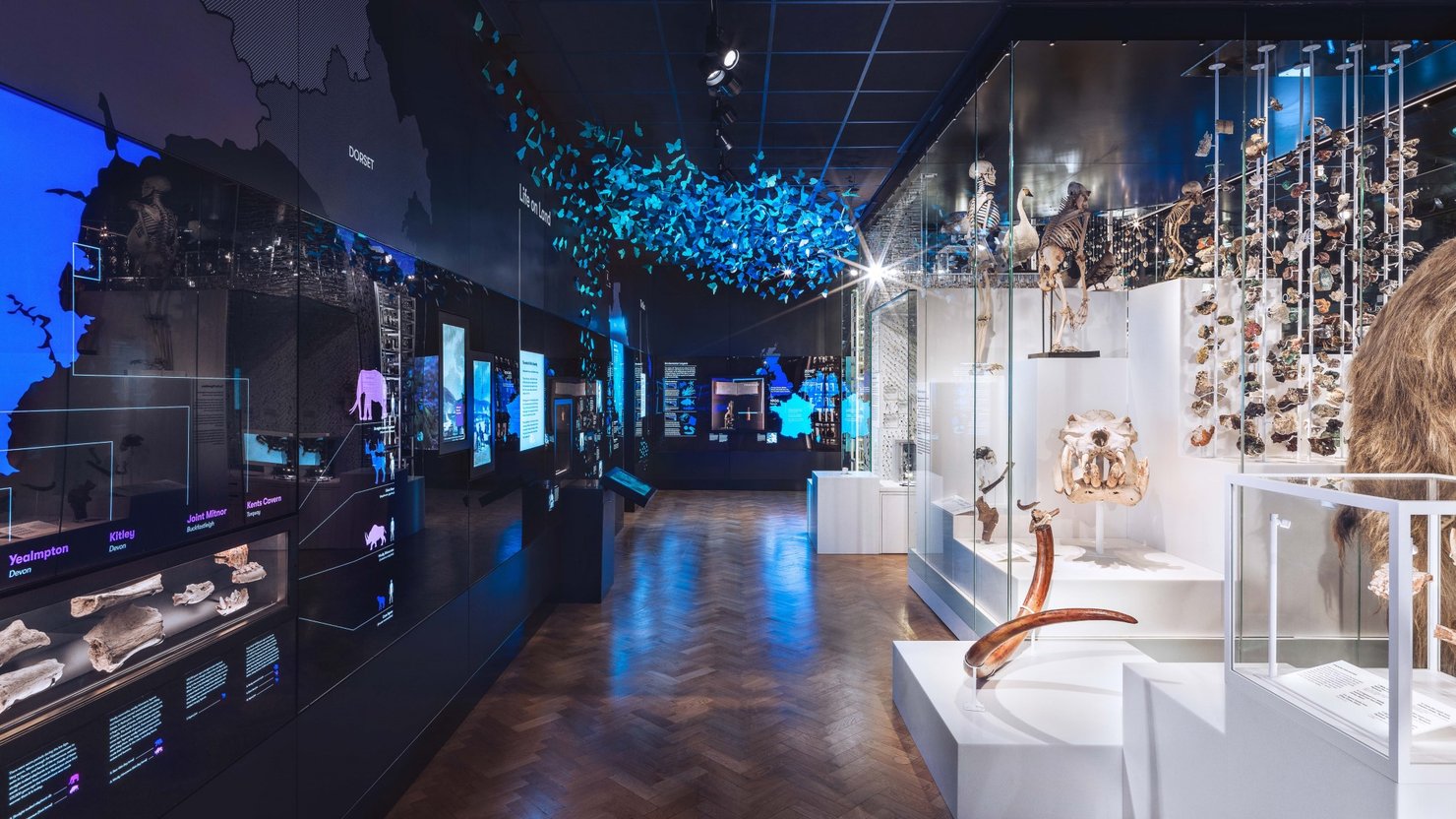Mammoth gallery showing illuminated graphic panels opposite large display case