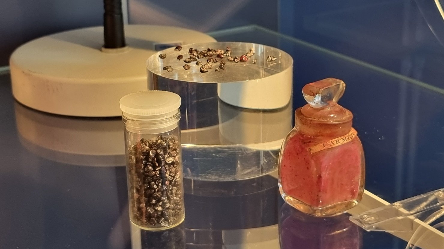 Cochineal beetles and carmine on a glass shelf with a magnifying glass