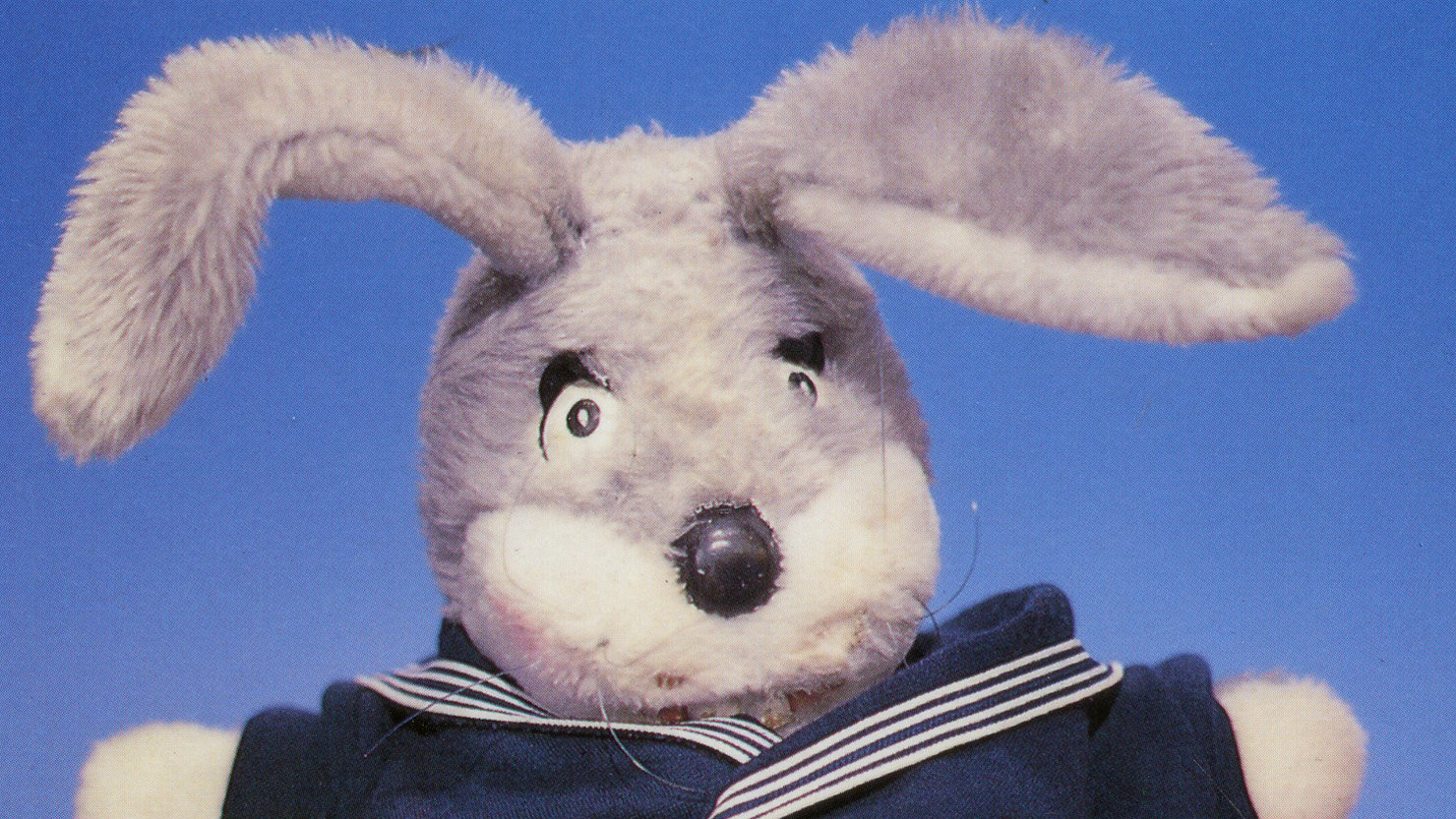 The Box | Gus Honeybun - 60 and still famous