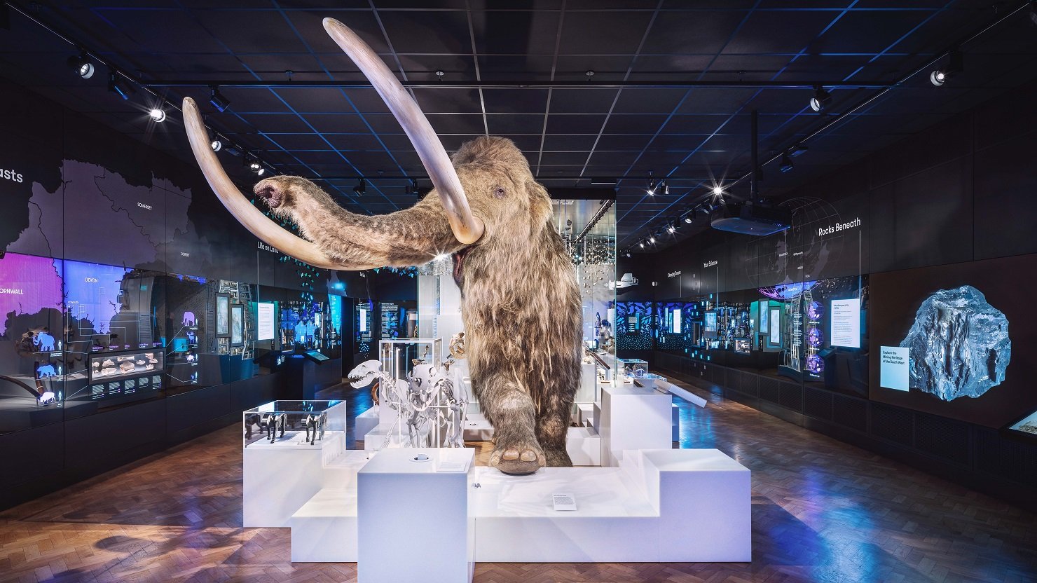Mammoth at The Box Plymouth