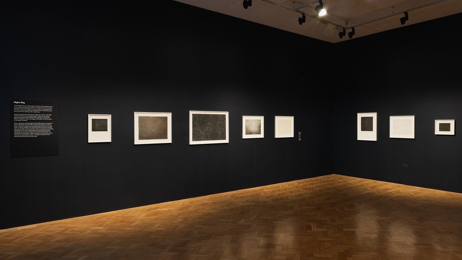 ARTIST ROOMS: Vija Celmins on display at The Box in October 2024