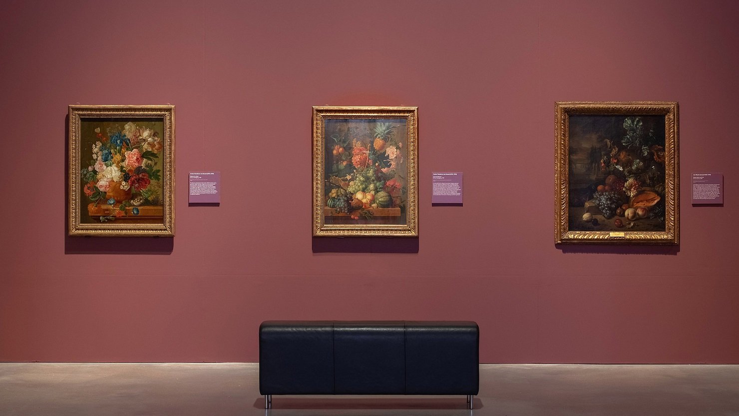 Three paintings on a wall in the 'Dutch Flowers' exhibition by Paulus Theodorus van Brussel and Jan Weenix