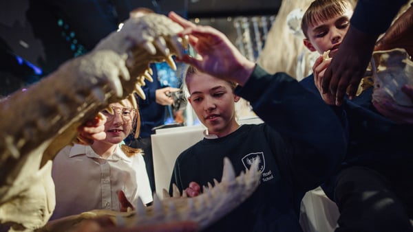 Natural History | School Visits | The Box Plymouth