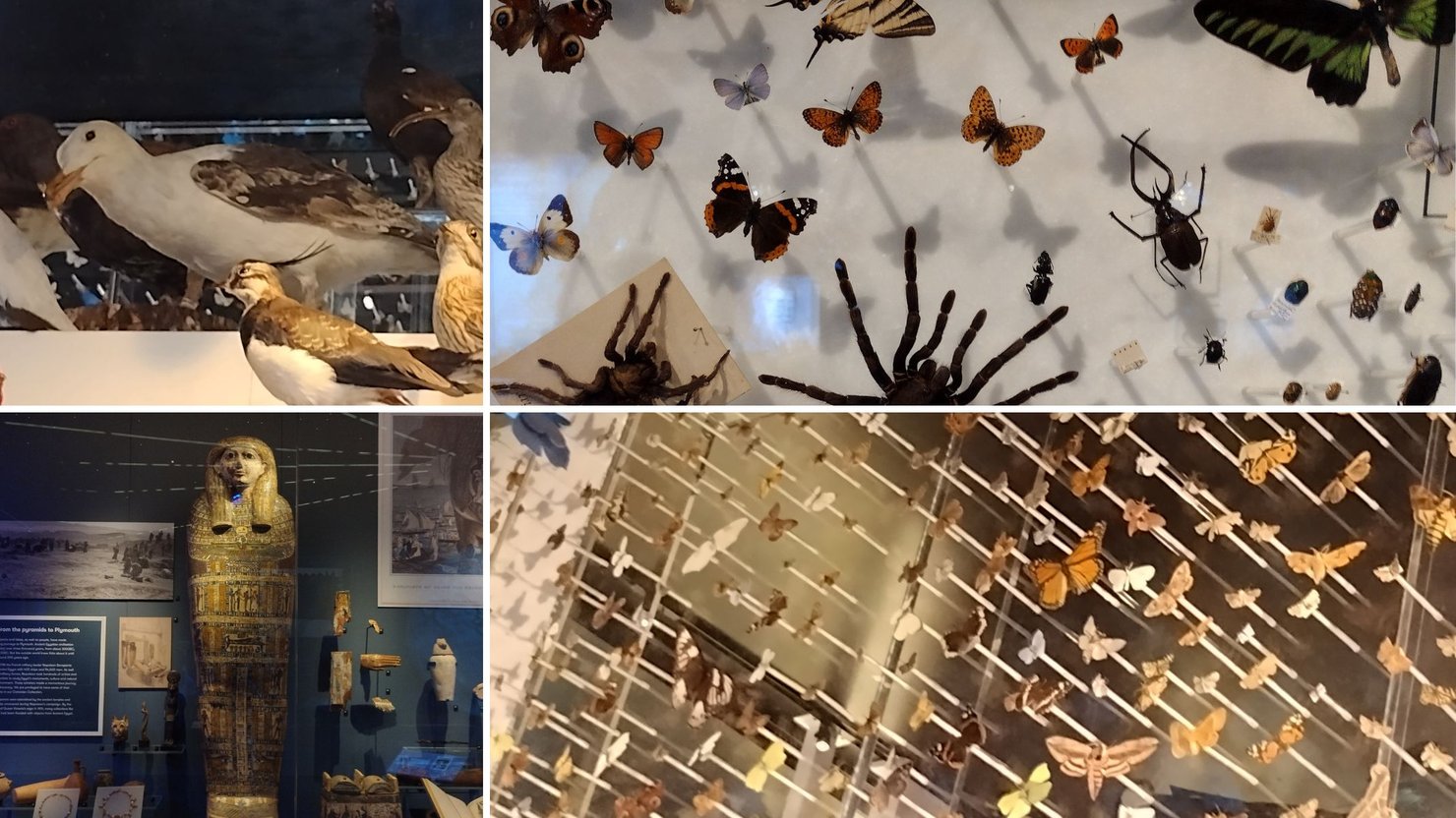 Through Their Eyes: Two Students Share Their Favourite Finds at The Box | The Box Plymouth