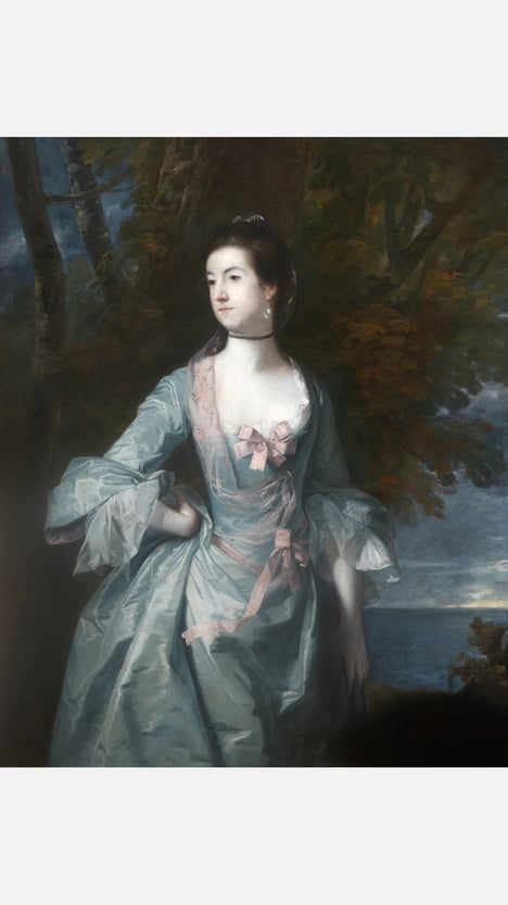 Lady Ann Bonfoy