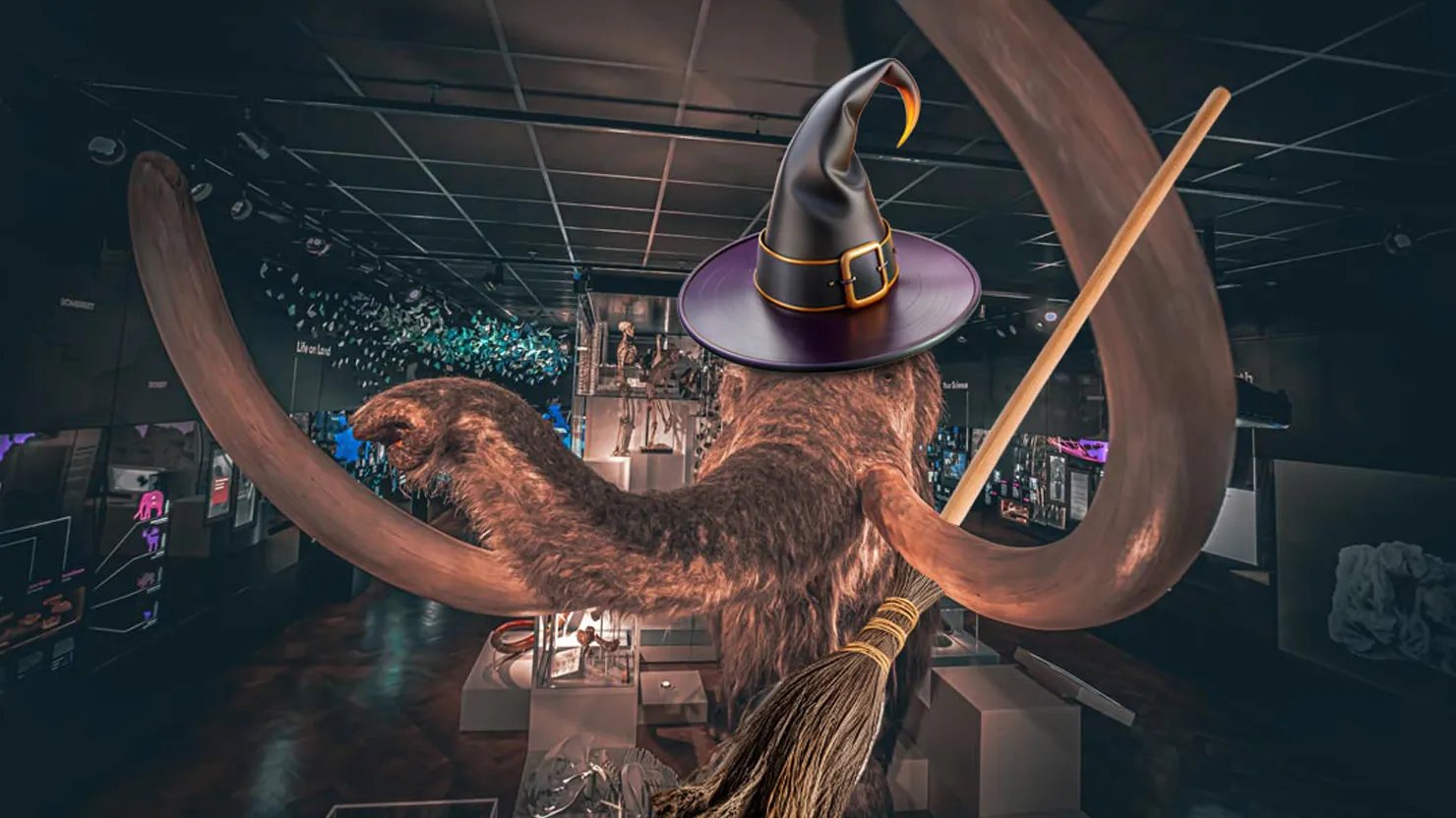 Mildred the woolly mammoth with a witch's hat and broomstick
