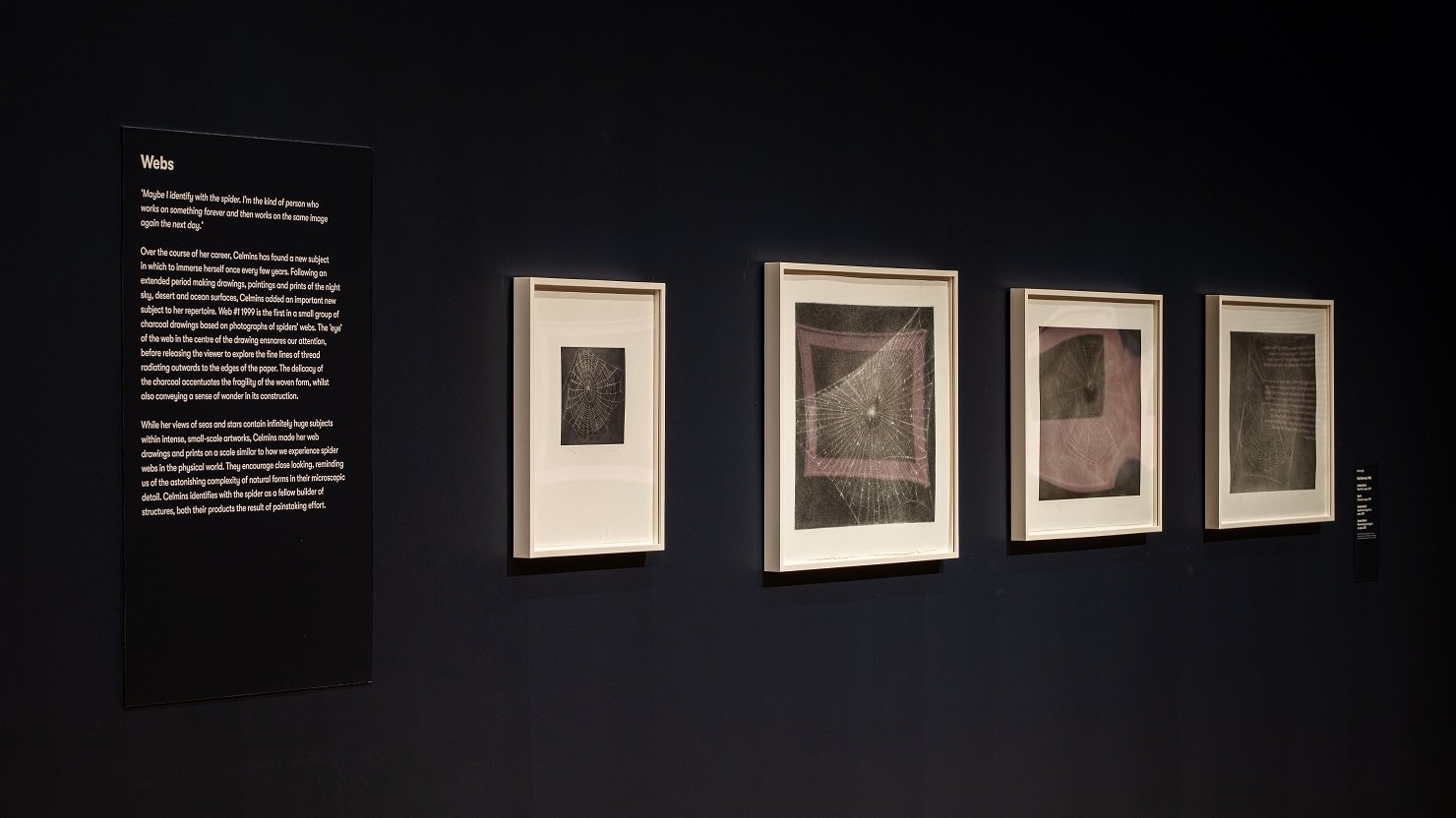 ARTIST ROOMS: Vija Celmins on display at The Box in October 2024