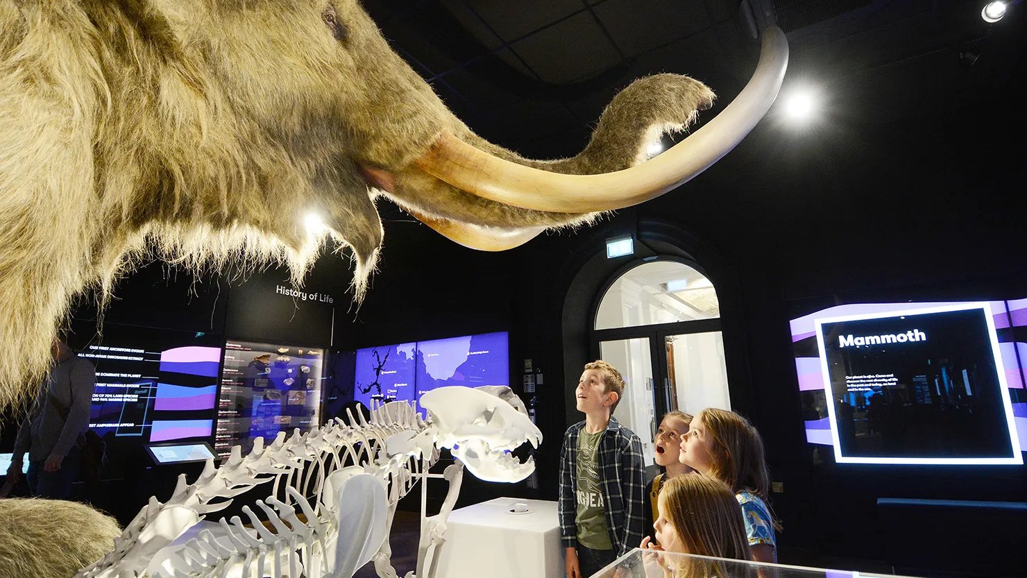 Plymouth not selected for next stage of UK City of Culture competition | The Box Plymouth