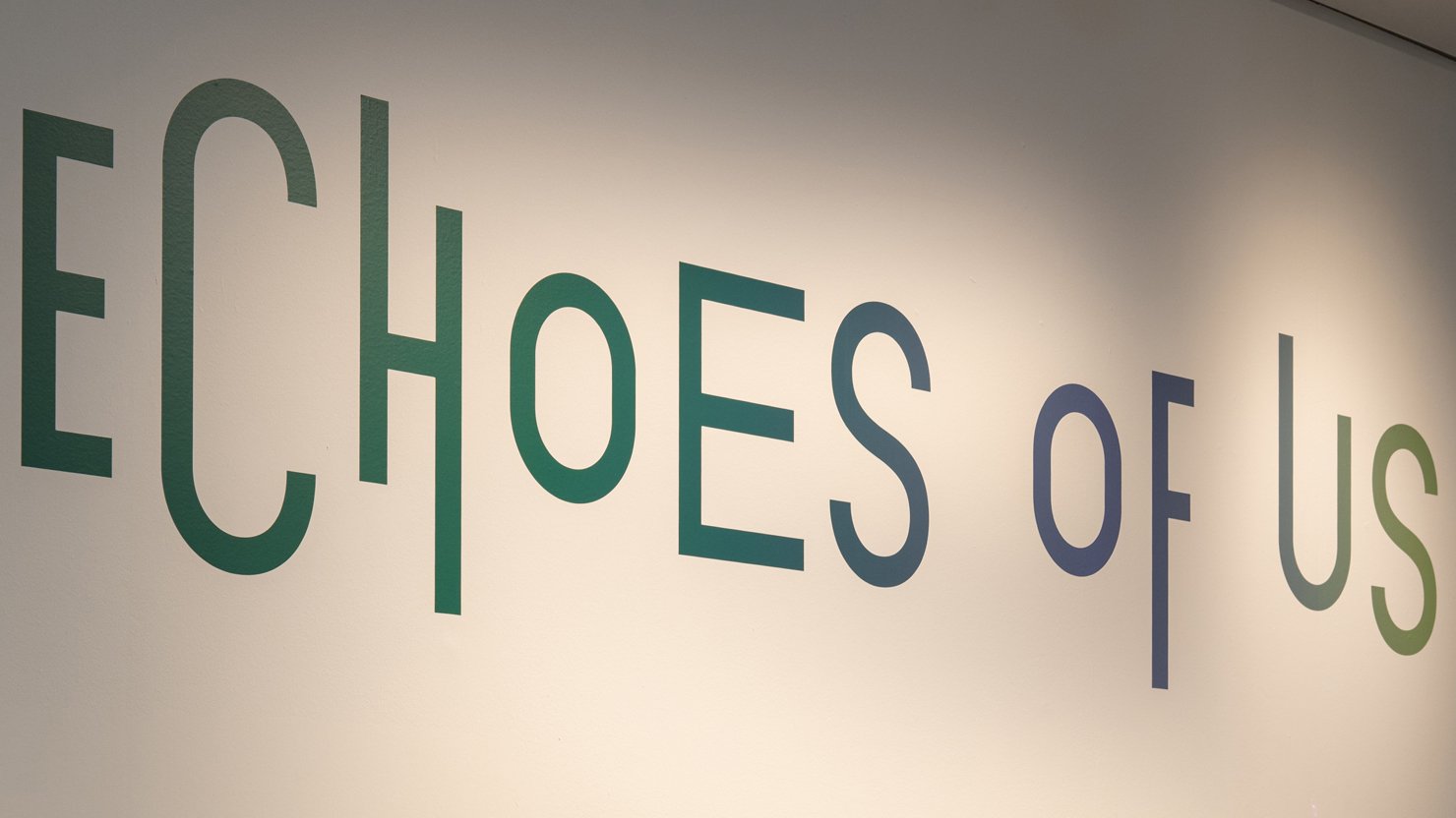 Through Their Eyes: A volunteer shares her favourite works in 'Echoes of Us' | The Box Plymouth