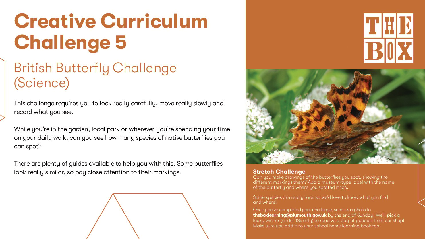 Graphic for The Box's Curriculum Challenge 5