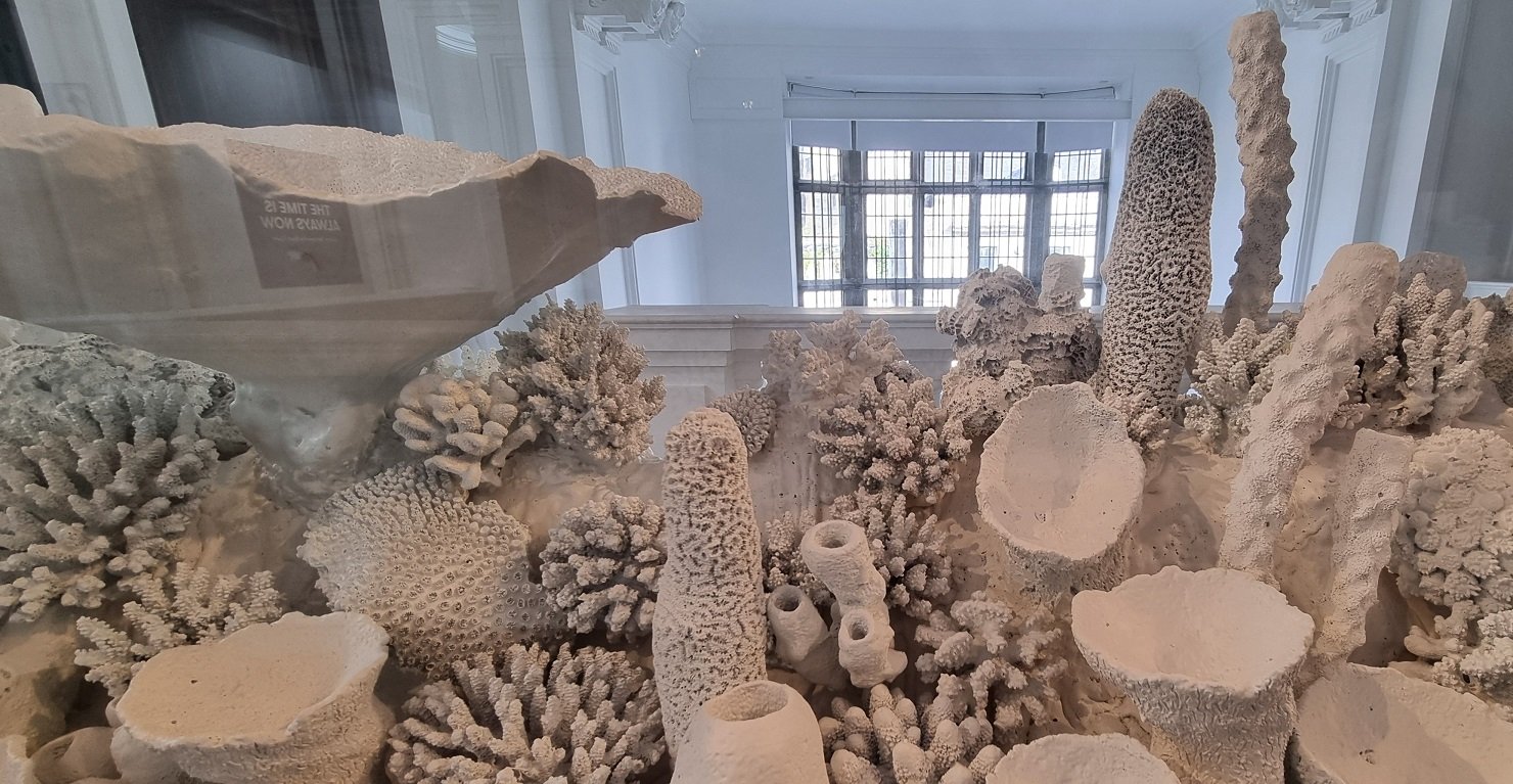 Bleached by Tania Kovats (detail) at The Box