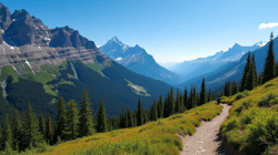 Jasper National Park's Top Trails: A Comprehensive Guide for All Skill Levels