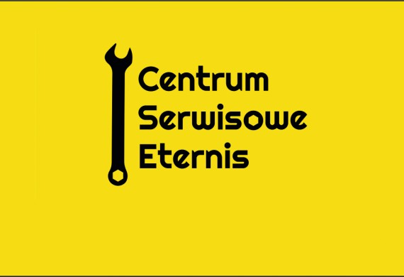 Centrum Serwisowe Eternis - CSE GARAGE  — zdjęcie 11