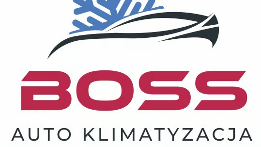 BOSS AUTO KLIMATYZACJA SERWIS-NAPRAWA — zdjęcie 9