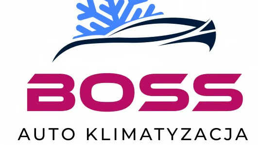 BOSS AUTO KLIMATYZACJA SERWIS-NAPRAWA — zdjęcie 1