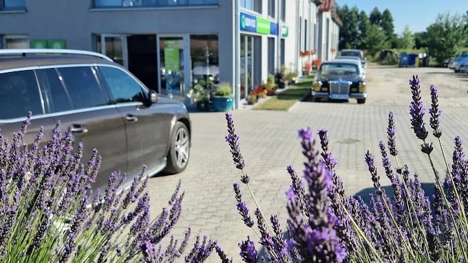AMG Serwis Lisowice Mercedes Serwis — zdjęcie 4