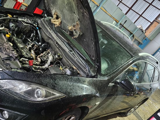 Image of example-cars