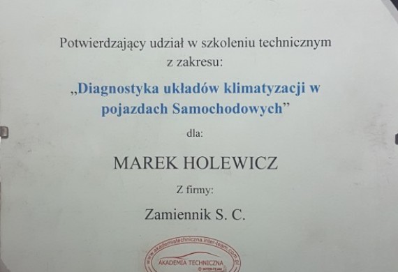 Zamiennik — zdjęcie 14