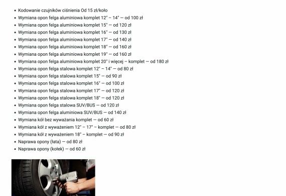 Alians Serwis — zdjęcie 13