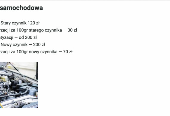 Alians Serwis — zdjęcie 8
