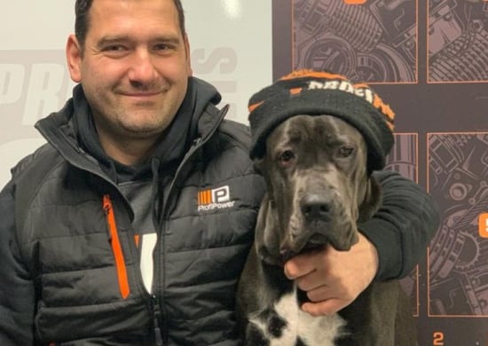 Image of example-cars