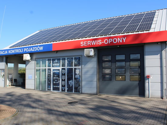 Wyważone Czułówek
