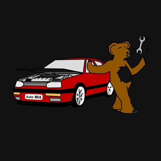 Warsztat samochodowy AUTO MIŚ 