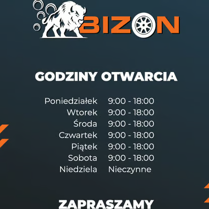 Bizon Auto