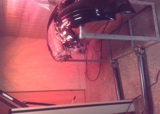 Image of working-mechanics