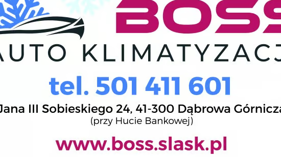BOSS AUTO KLIMATYZACJA SERWIS-NAPRAWA — zdjęcie 15