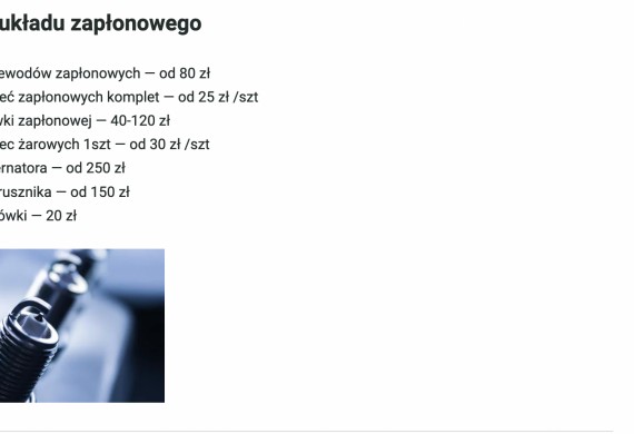 Alians Serwis — zdjęcie 12