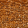 chestnut urethane color