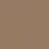 buckskin paint color