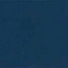 dark blue paint color