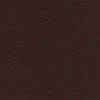 dark brown paint color