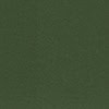 dark sage paint color
