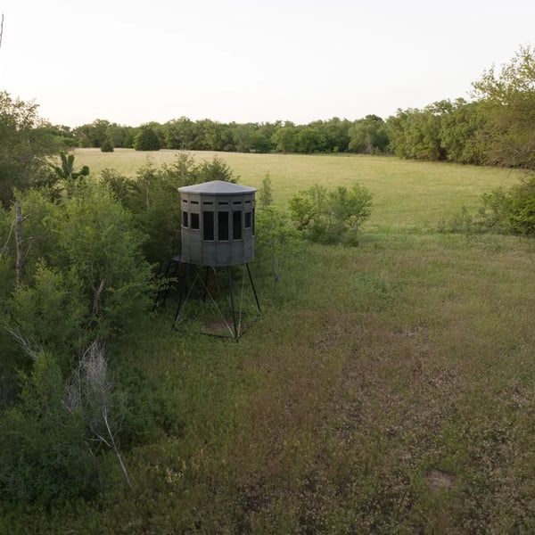 dji_20240509203414_0079_d-enhanced-nr