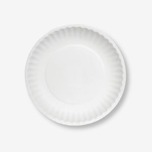 Paper Plates Bulk