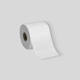Toilet Paper Example Product