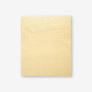 Spill Pads & Kits
