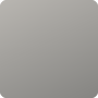 Antique Pewter