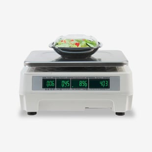 Digital Price Computing Scale Example Product