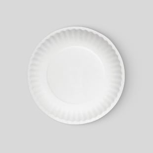 Paper Plates Bulk