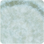 Sea Moss