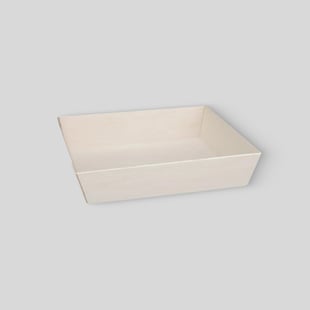 Disposable Food Trays