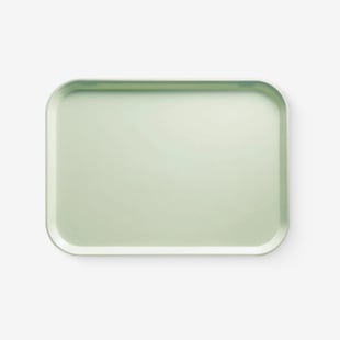 Fast Food & Cafeteria Trays Example Product