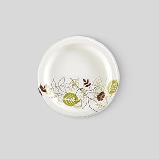 Disposable Dishes Example Product